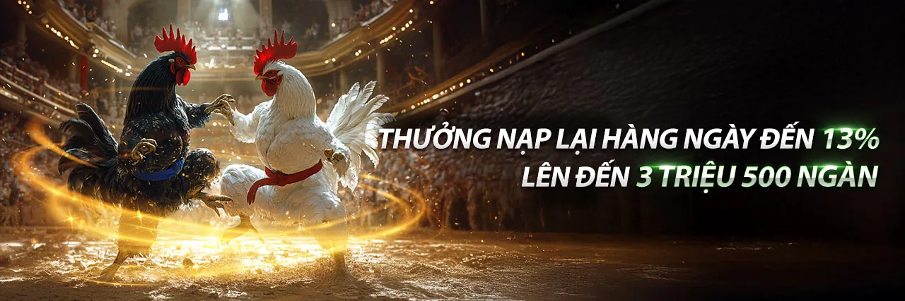 Chương trình VIP của VZ999 Code với các ưu đãi độc quyền